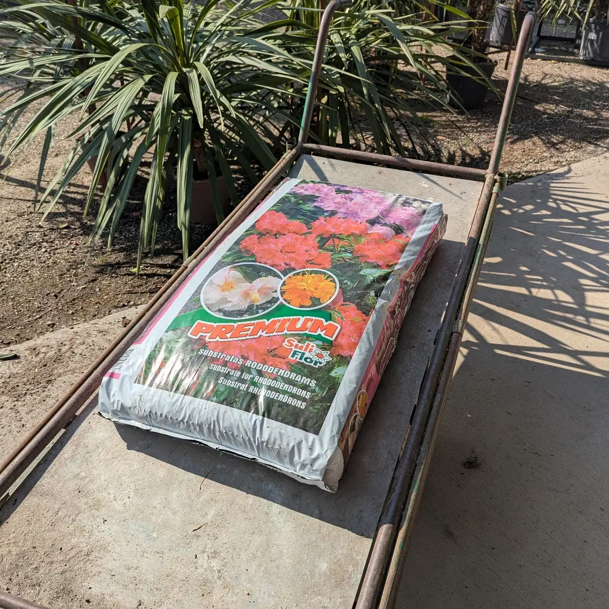 Terre De Bruyère 70L