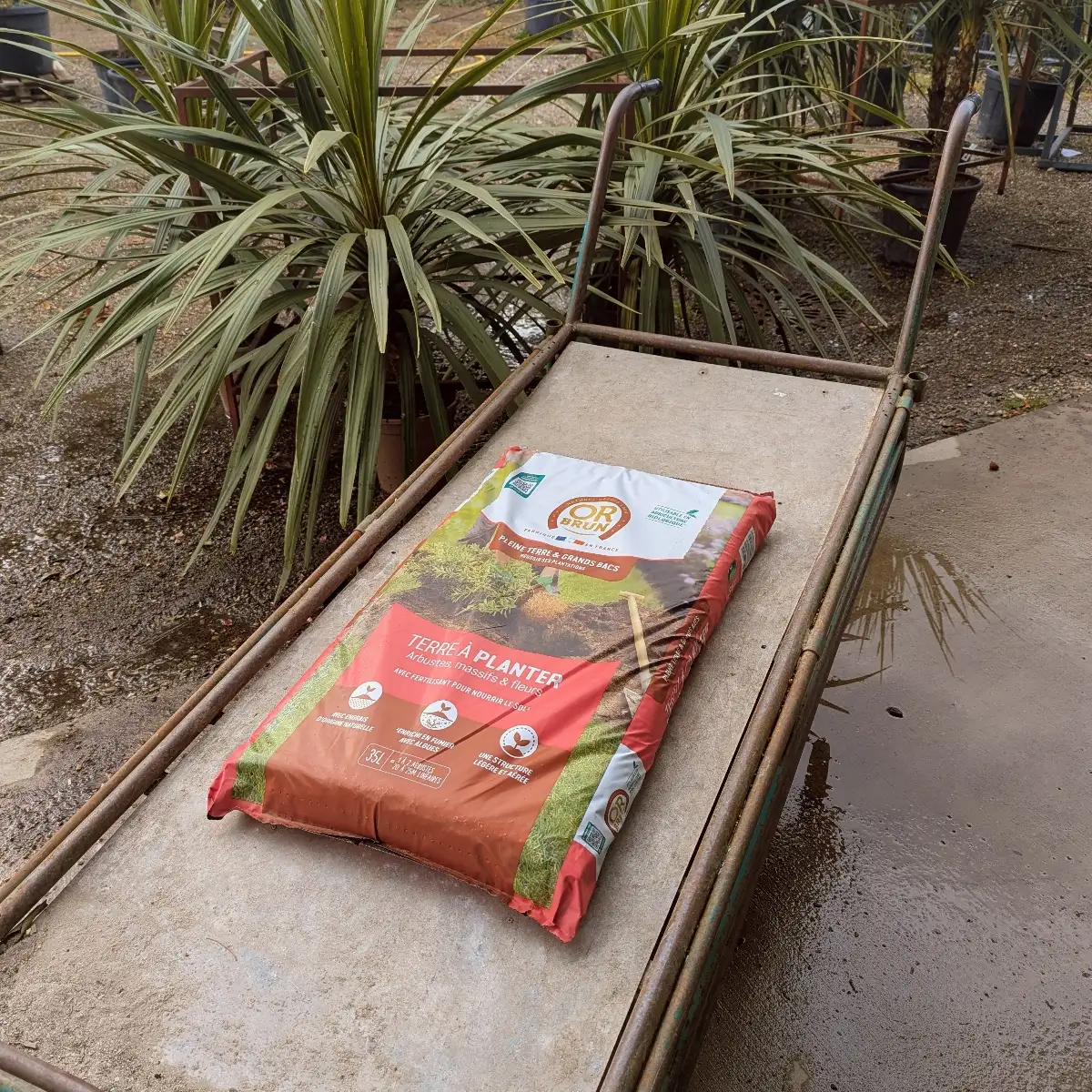 Terre A Planter Or Brun 35L